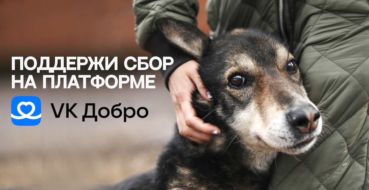 С заботой о животных