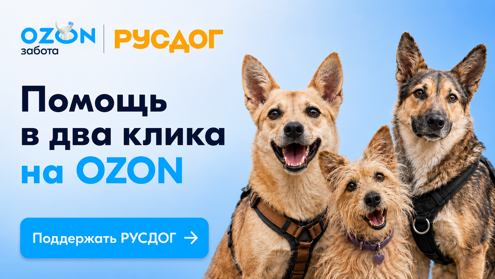 Помочь РусДог через Ozon